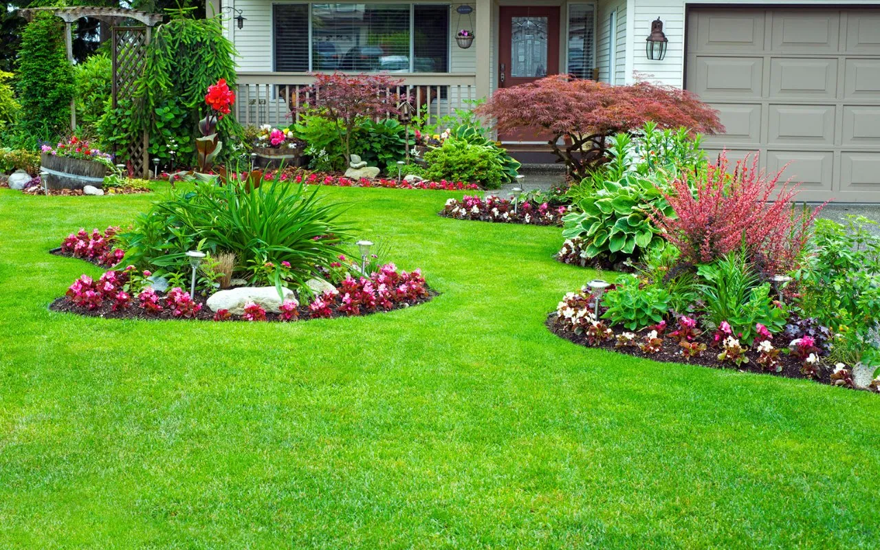 yard with plants and a beautiful green grass - professional landscaping utah