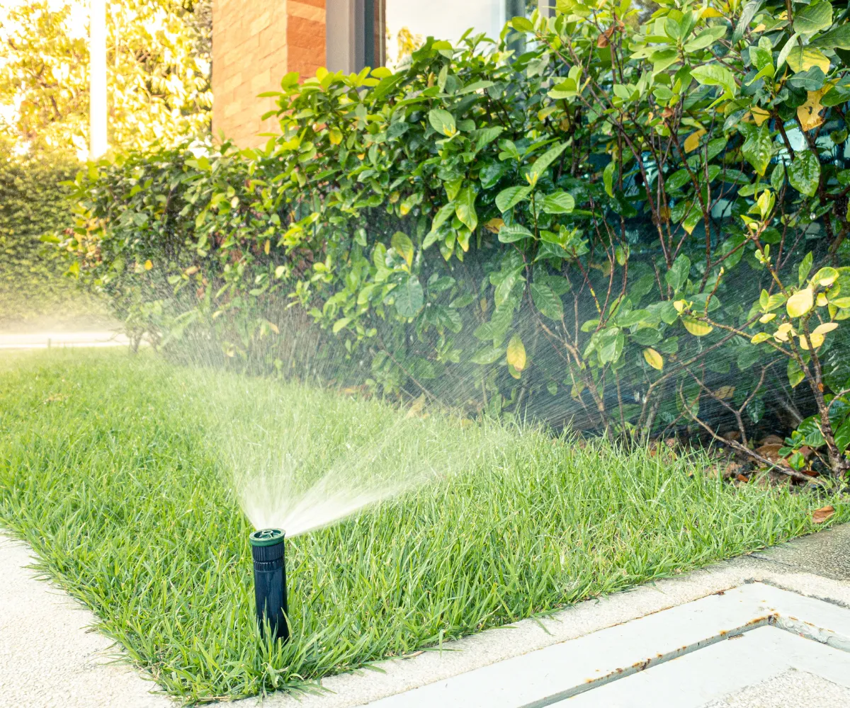 Sprinkler System